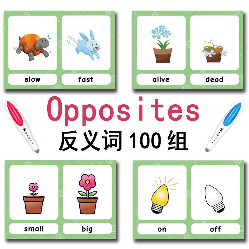 The 100 Groups Opposites Flash - English Kids Education 评论和价格