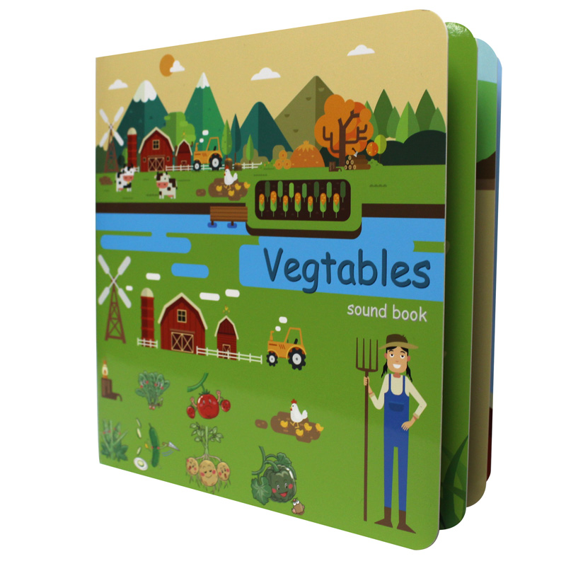 Custom Board Books for Babies  - English Kids Education 评论和价格