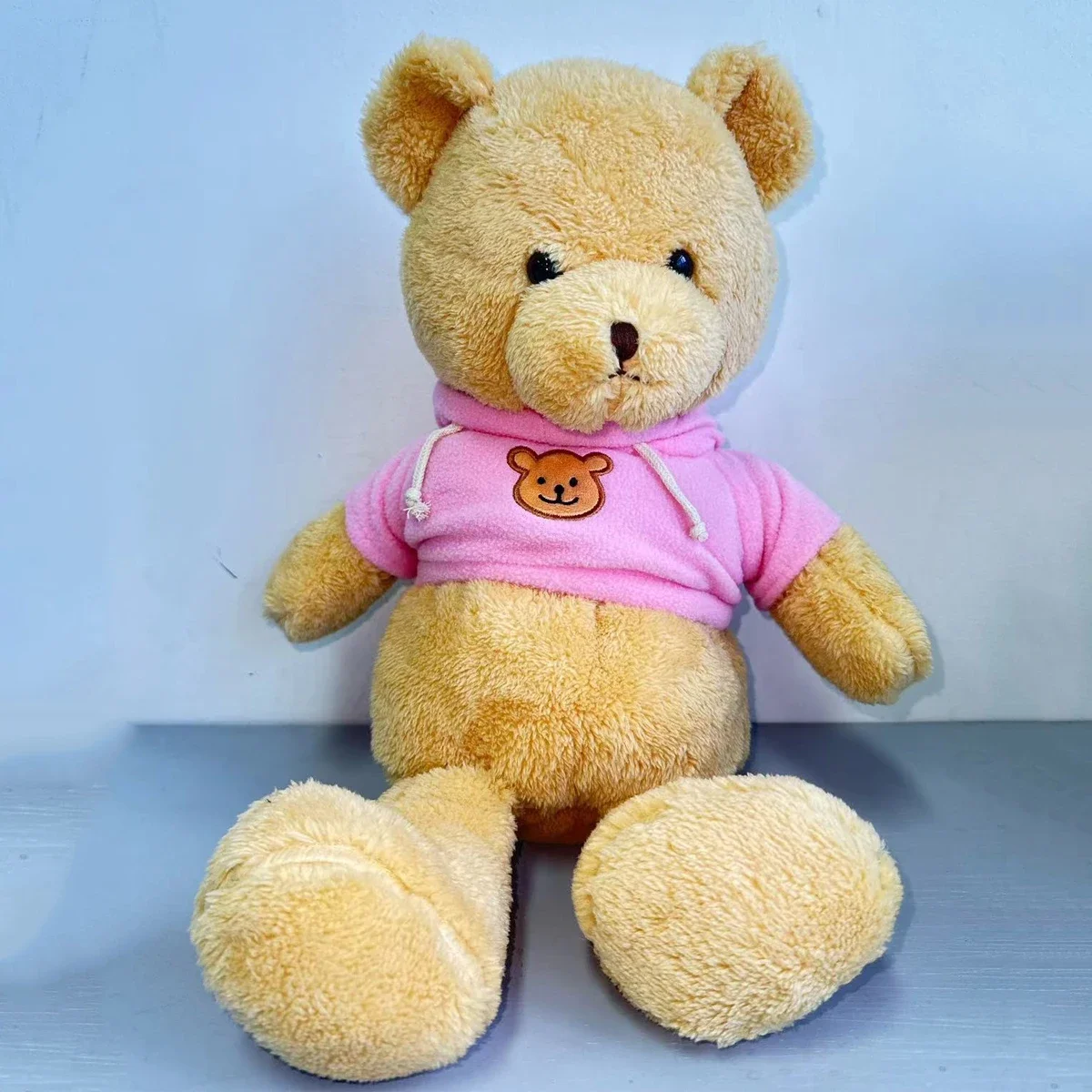 Hidden Safes 40cm Plush Bear S - Kids Education Money 评论和价格