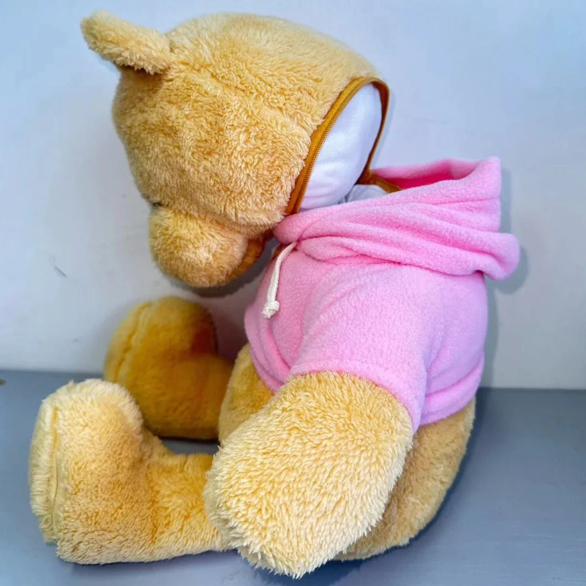 Hidden Safes 40cm Plush Bear S - Kids Education Money 评论和价格