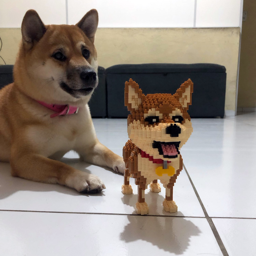 KNEW BUILT Shiba Inu Dogs Mode - Kids Education And Recreation 评论和价格
